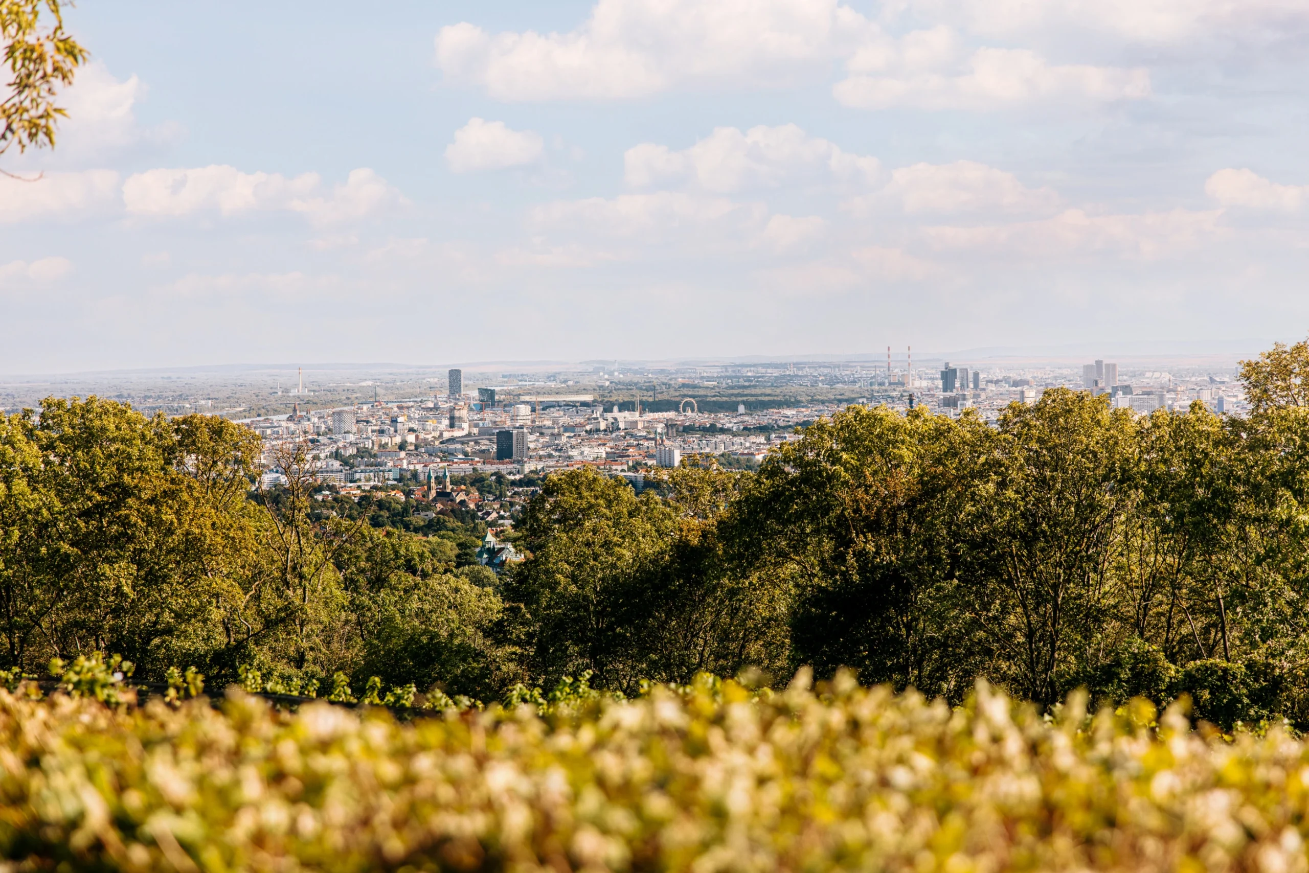 Blick über Wien, Stadt, Dächer